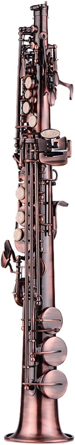 Sax Beginners Kit Straight Bb Saxophone Saxophone Sax Woodwind Instrument Carve Pattern with Case Gloves Cloth Straps Brush Wind Instrument