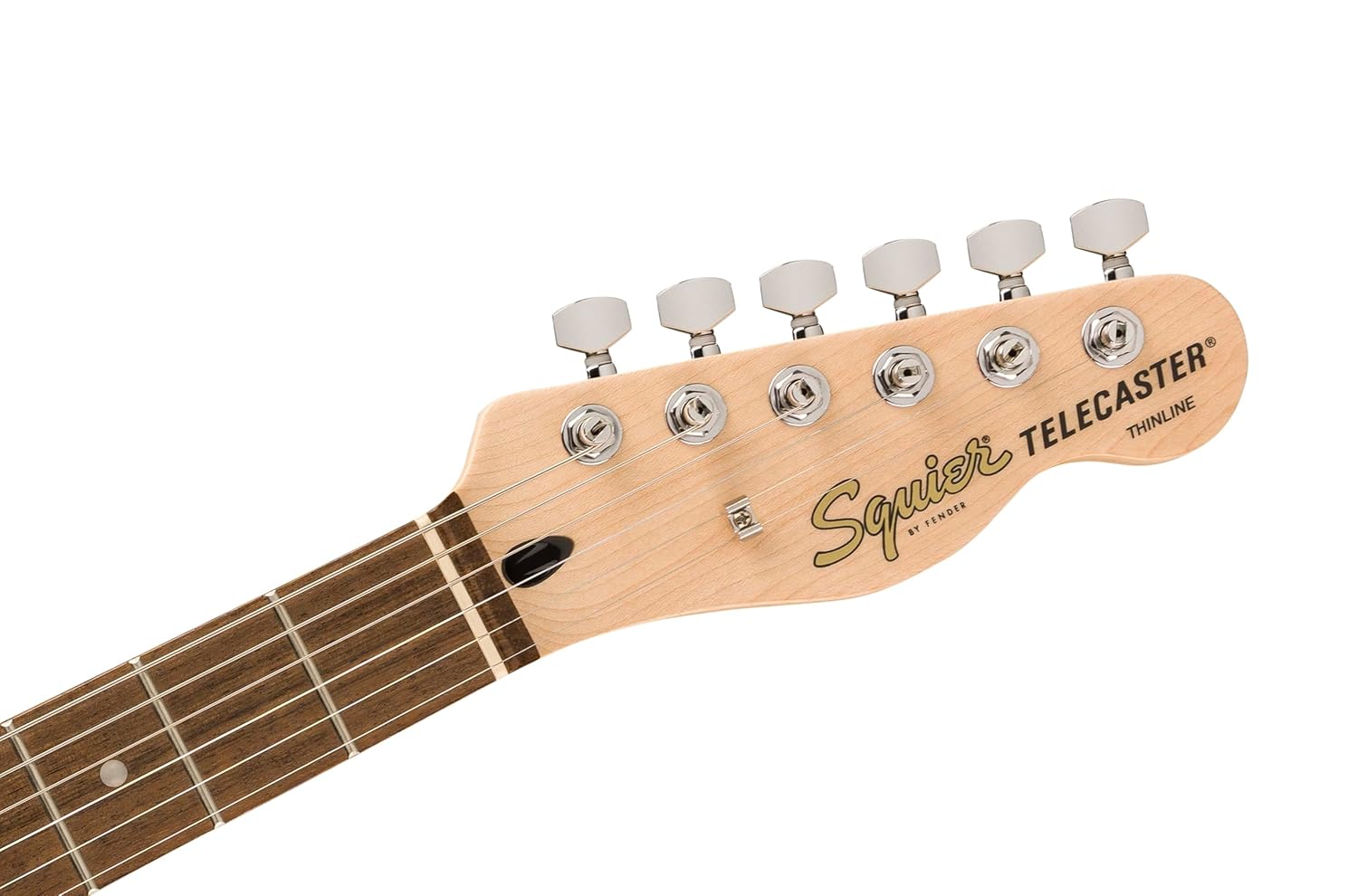Affinity Series Telecaster Thinline, Laurel Fingerboard, Black Pickguard, Olympic White