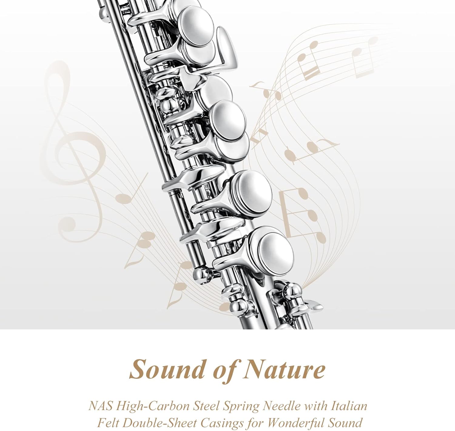 Eastar Piccolo Instrument for Beginners Students, Key of C Flute, Hard Case, Cleaning Kit, Gloves, 2-Piece, Nickel Plated, EPC-1