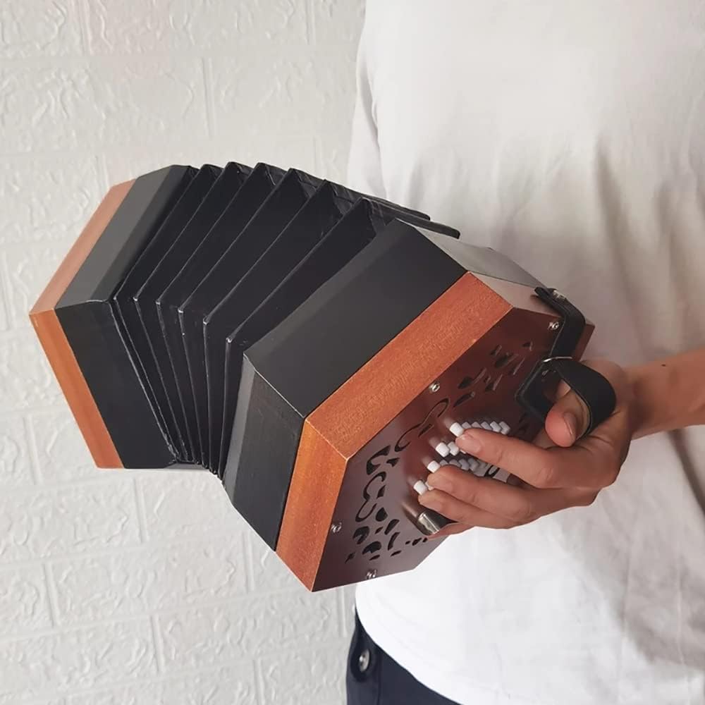 Professional Concertina Accordion, Hand Piano Accordion Music Instrument, With Carrying Bag, Adjustable Hand Strap, Musical Instrument For Adults Beginners