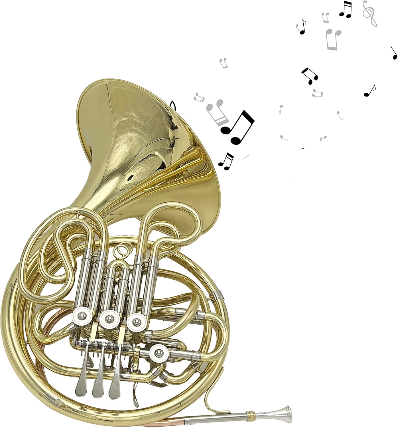 Double French Horn,4 Key Double Row French Horn for Beginners Examinations
