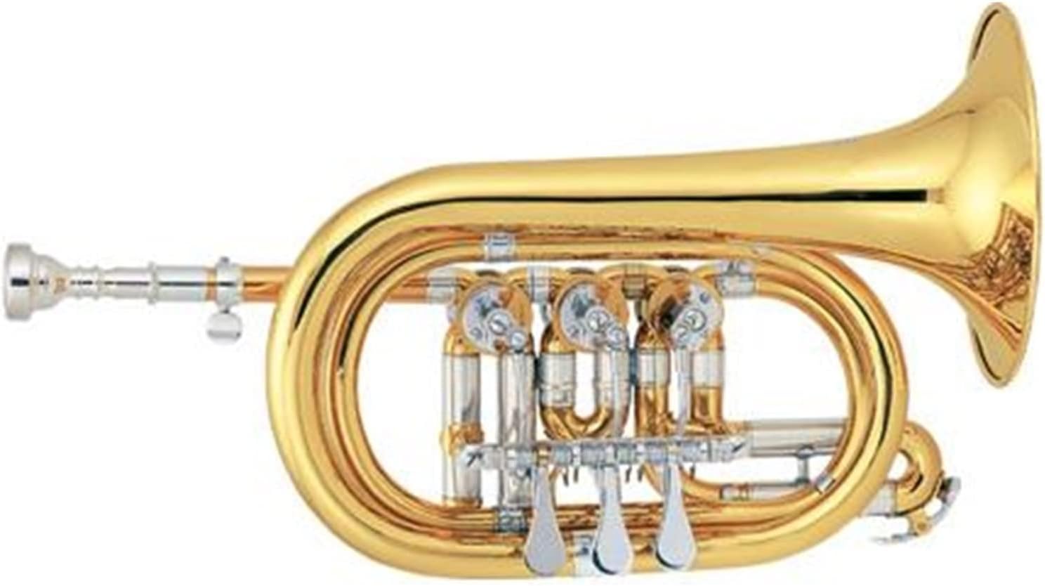 Trumpets Beginner Gold Lacquer Rotary Valve Type Bb Cornet Bore Size 11.66mm Trumpet Set