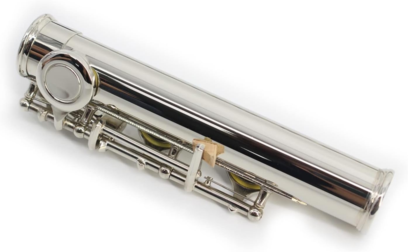 TSTS Flutes Musical Instrument 16 Holes Key of C Flute Cupronickel Nickel Plated Flute Woodwind Music Instrument with Case Cleaning Cloth Stick
