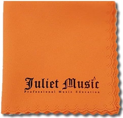 Hohner Special 20 Harmonica, 10 Holes Key E Bundle Hard Case, Mini Harmonica Necklace Juliet Music Polishing Cloth