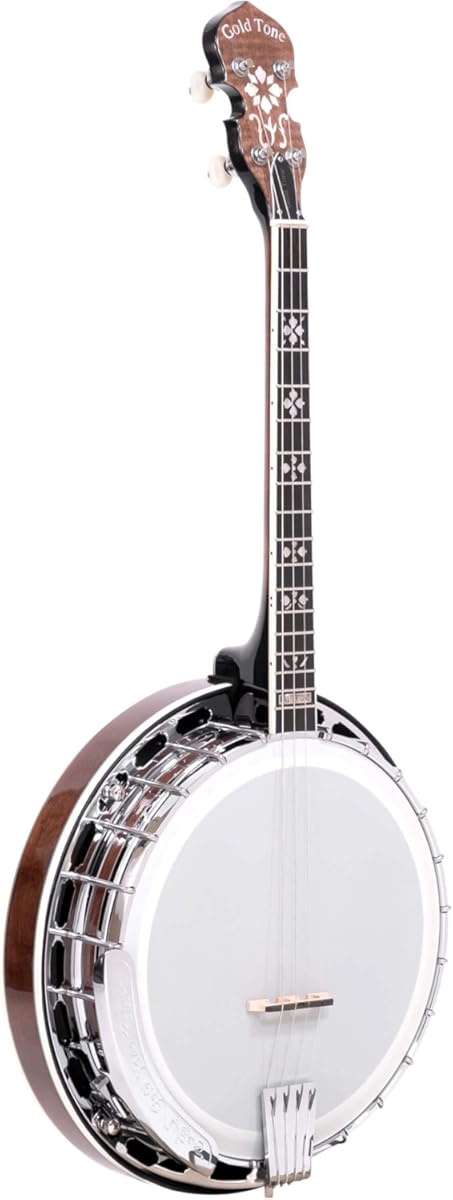Gold Tone IT-250F Irish Tenor Banjo (Vintage Brown)