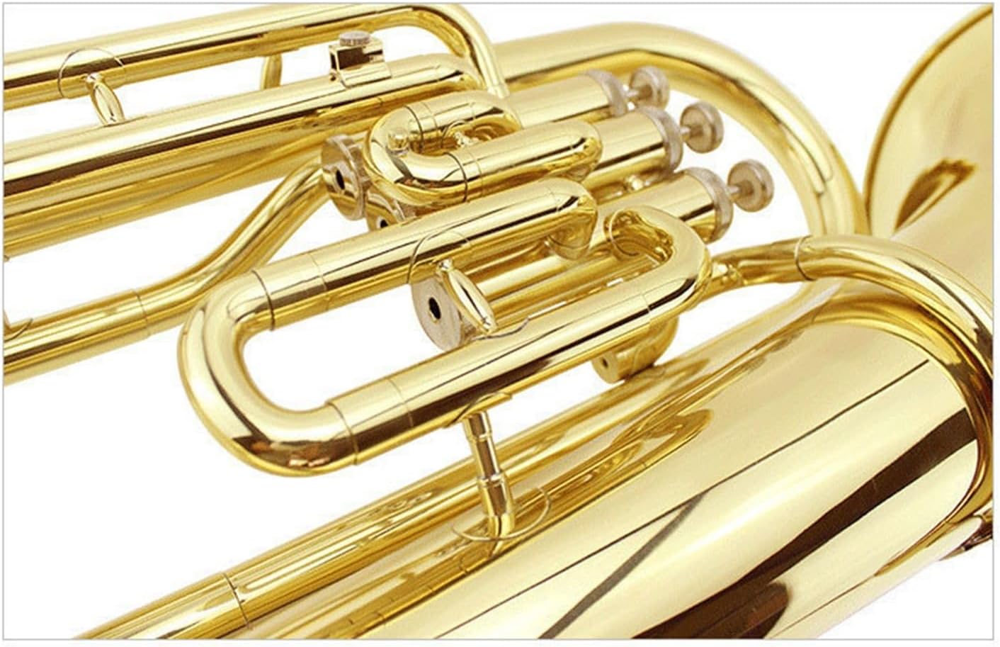 Euphonium in B flat 3 key Beginner Playing Instrument