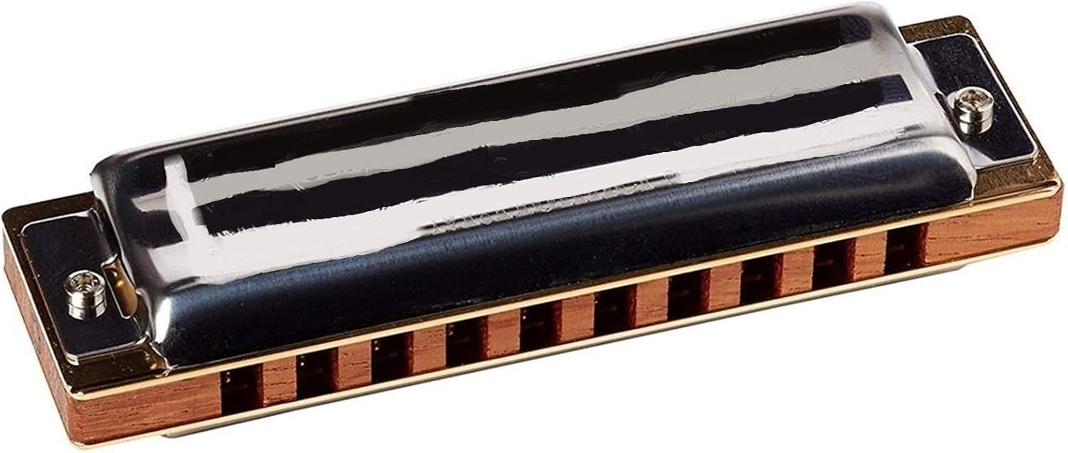 Harmonica Harmonica Blues Harp Diatonic Harmonica 10 Hole 20 Tone Musical Instruments Mouth Organ Key C