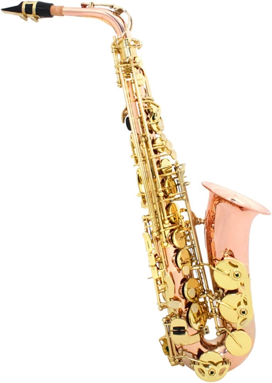 TSTS Dual-Color EB Alto Saxophone Woodwind Instrument Brass Sax Full Kit