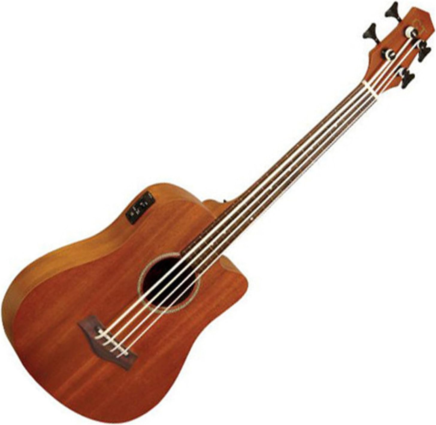 Goldtone M Bass Microbass Fretless Short-Scaled Acoustic Electric Bass w/Bag