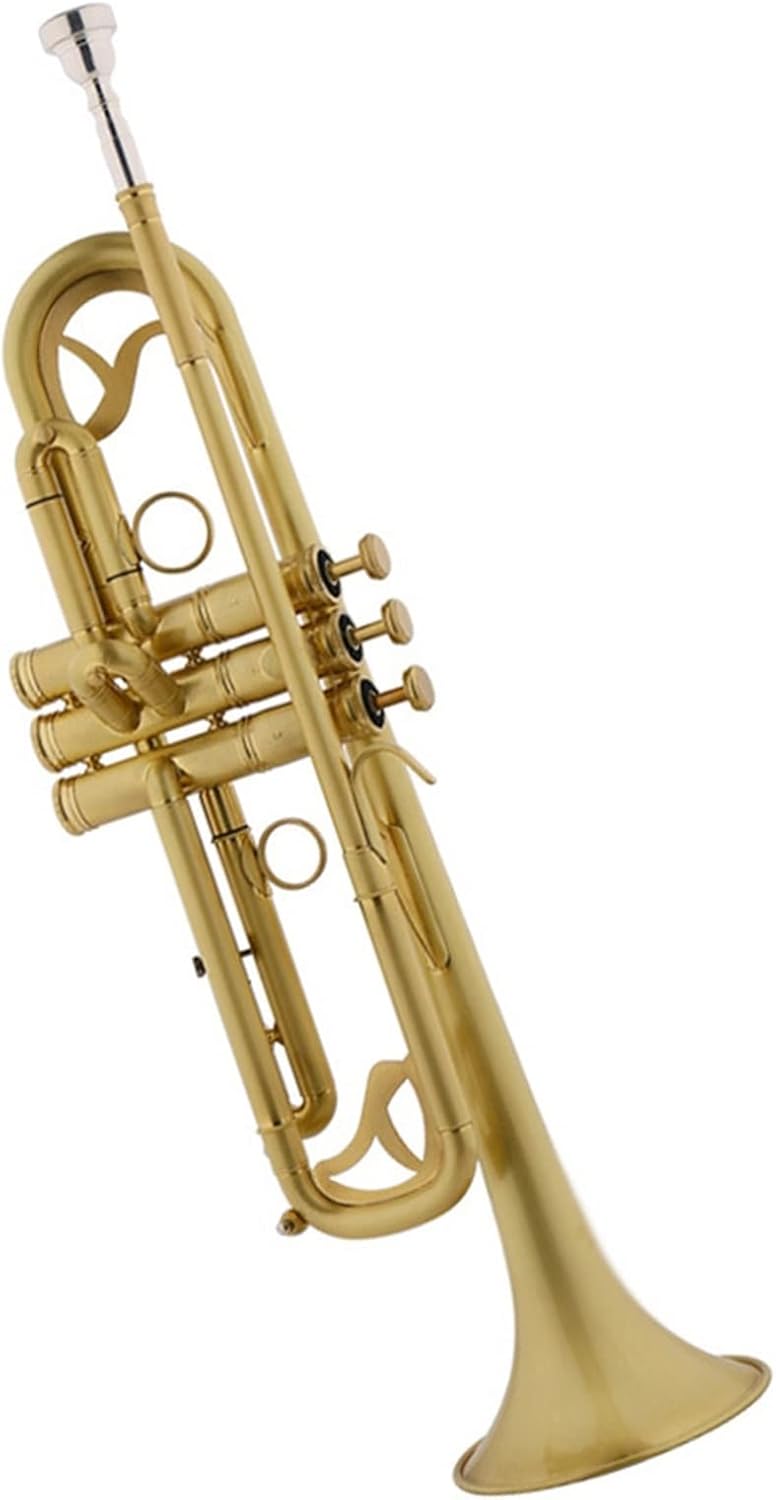 TSTS Brass Instrument Standard Trumpet B-Flat Matte Lacquer Gold Professional Playing Trumpet with Case Professional Trumpet