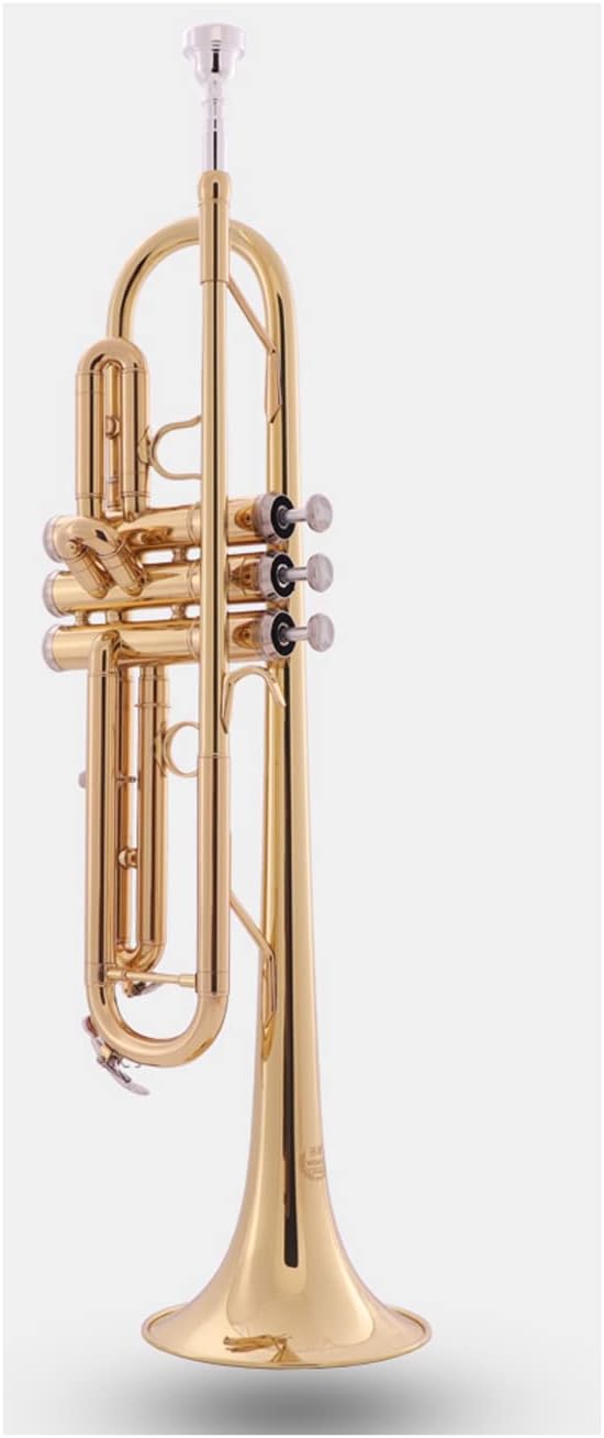 Trumpet/Bb Brass Wind Instrument, Professional Performance Band Trumpet/Horn Standard Horn Trumpet Beginner Trumpet (Silver)