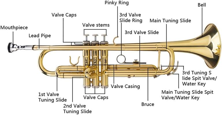 NOLLAM Bb Standard Trumpet Set Brass Musical Instruments with Carrying Case,Gloves, Cleaning Kit Nickel Plating Trumpe for Beginners or Advanced Students, Golden