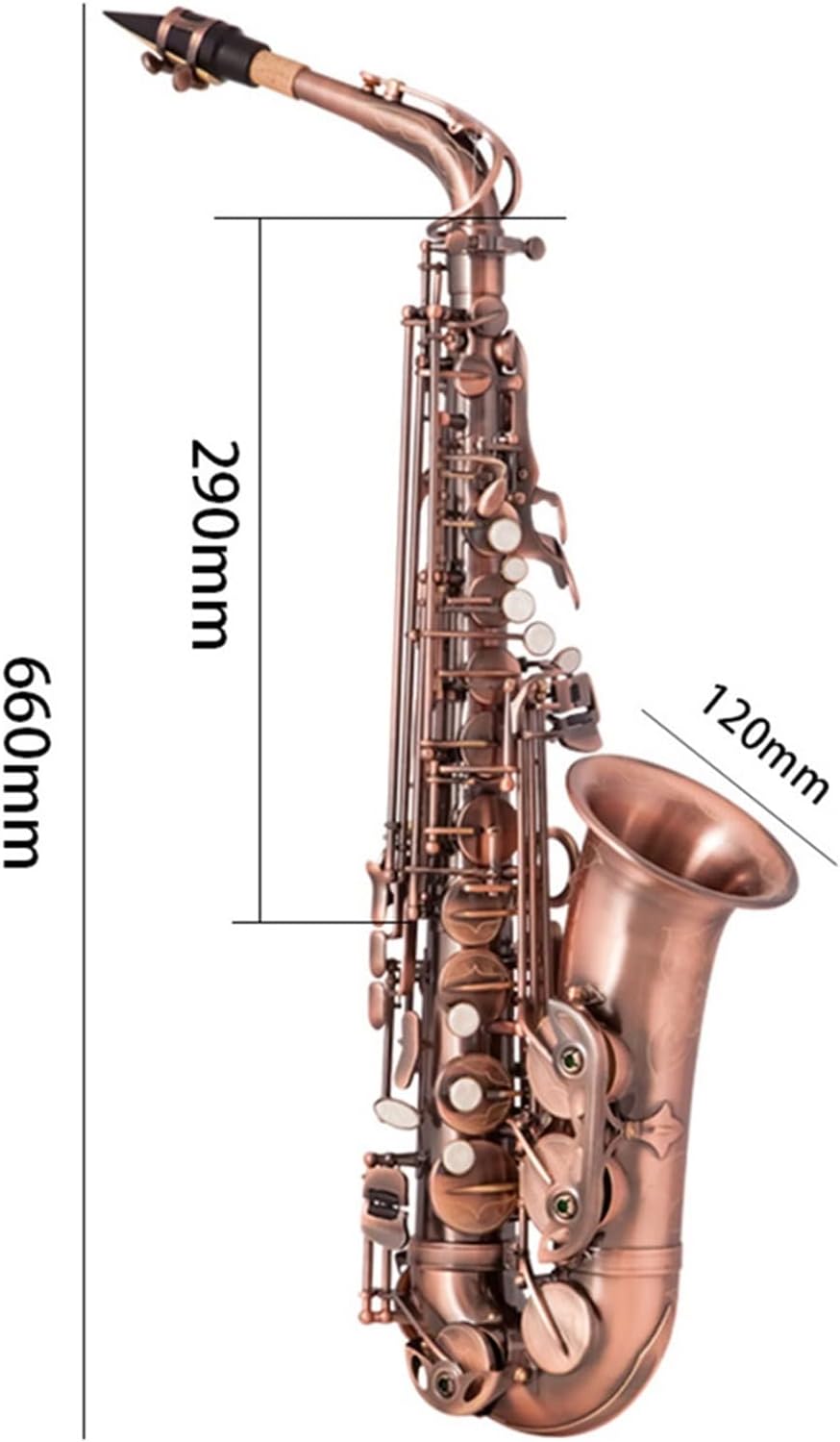 EB Alto Saxophone E-Flat Sax Carved Pattern Woodwind Instrument with Carry Case