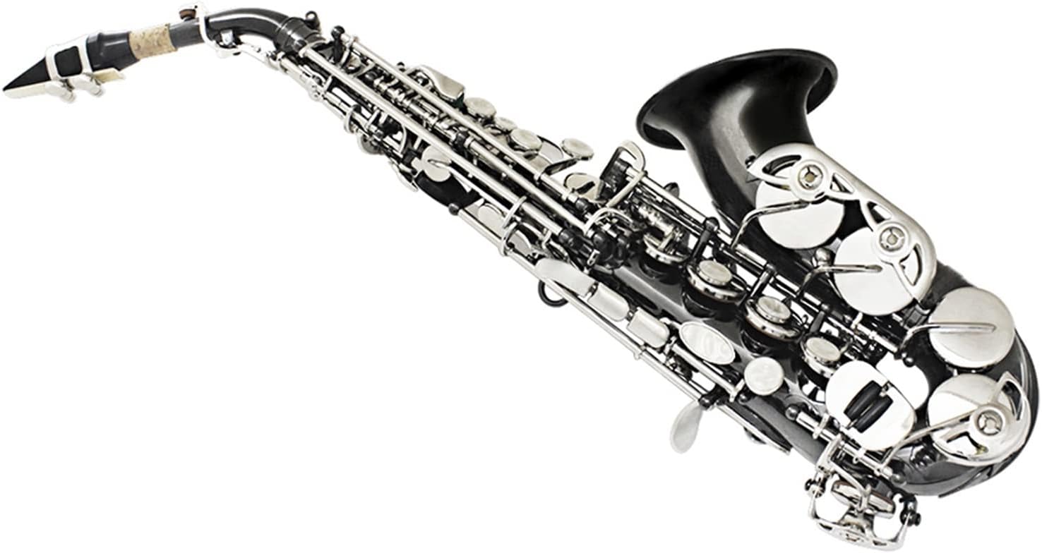 The Saxophone Bb Sax Brass Material Black Nickel Plated Woodwind Instrument with Carry Case Basic Saxophone Accessories Student Saxophone