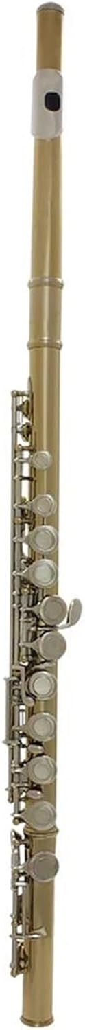 16 Hole Flute Golden Silver Key Flute With Storage Box Accessories Professional Woodwind Musical Instrument