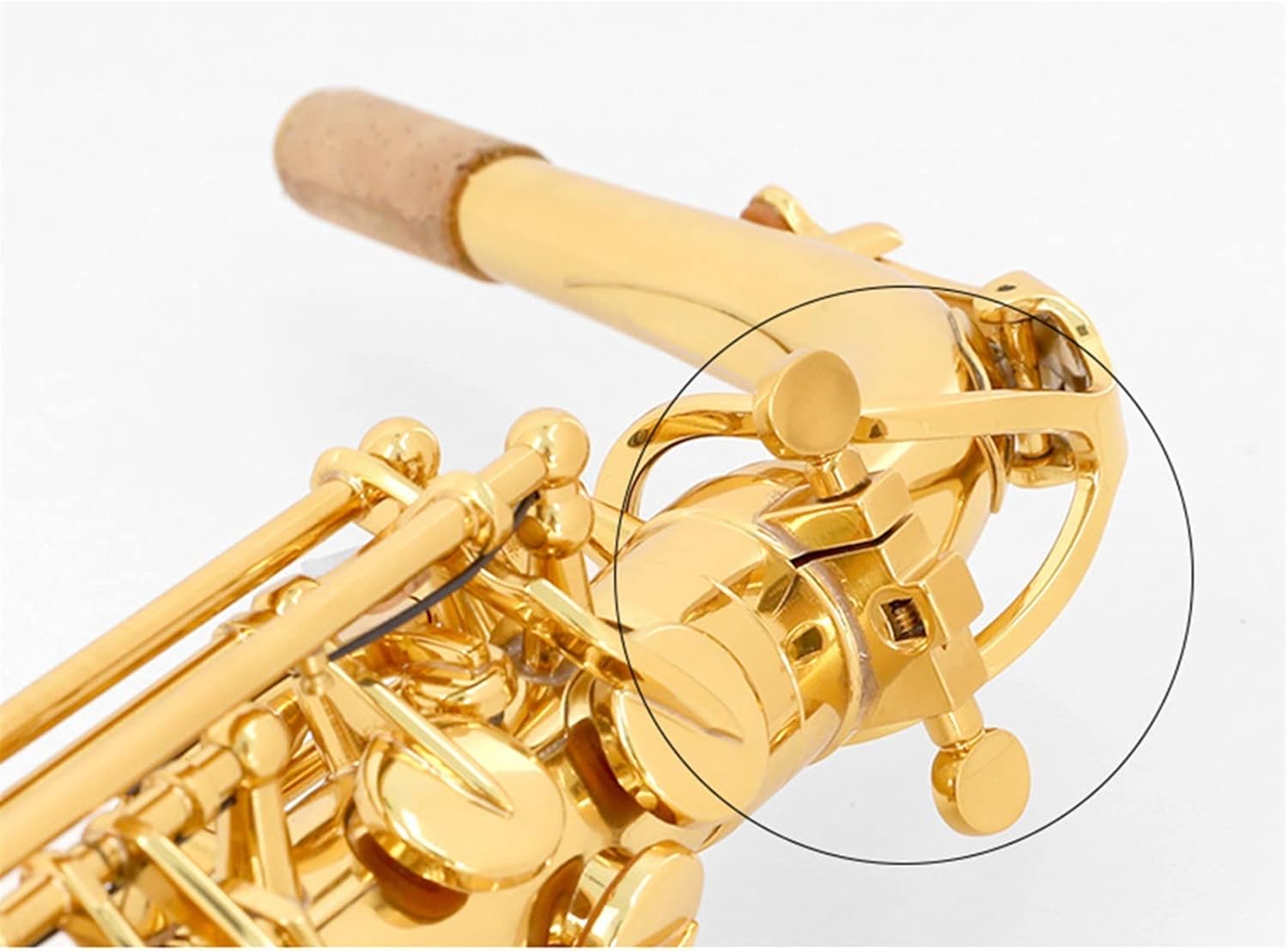 E Flat Alto Saxophone Woodwind Instrument for Adult Beginners