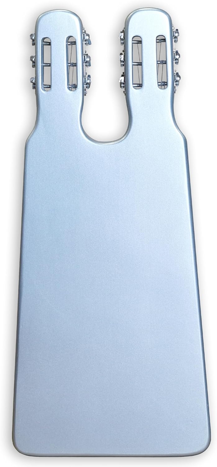 TARIO Double Neck Lap Steel Guitar 6 String Slotted Head Stock Electric Slide Guitars With Gig bag