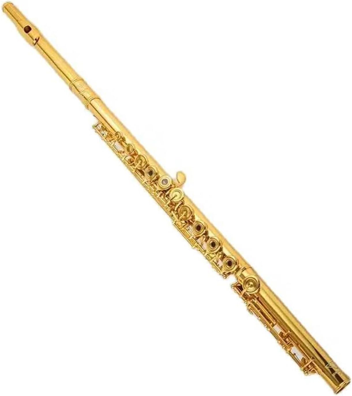 Woodwind Instruments Professional Cupronickel Opening C Key 17 Hole Flute Gold Plated With Case