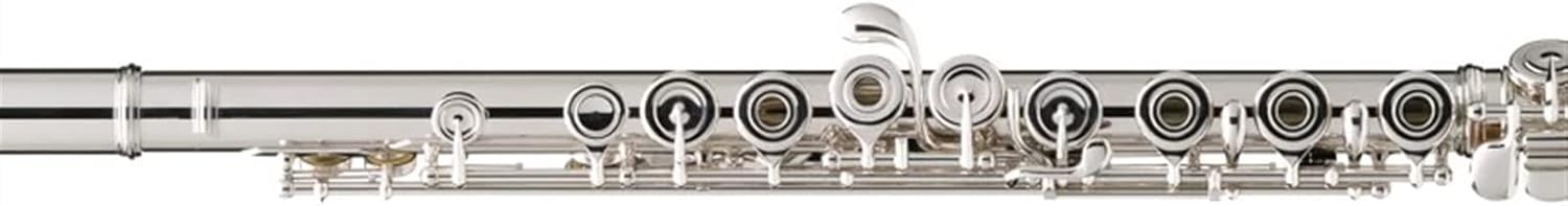Flute Musical Instrument Western Concert Flute Silver Plating 17 Holes C Flutes Key Woodwind Instrument Mini Screwdriver Padded Starter Flute (Color : Silver)
