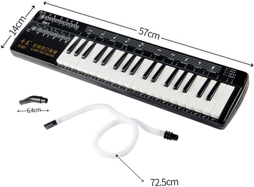 All Music Theoty Melodion 37 keyboard Professional Melodica Harmonica Playing Musical Instruments