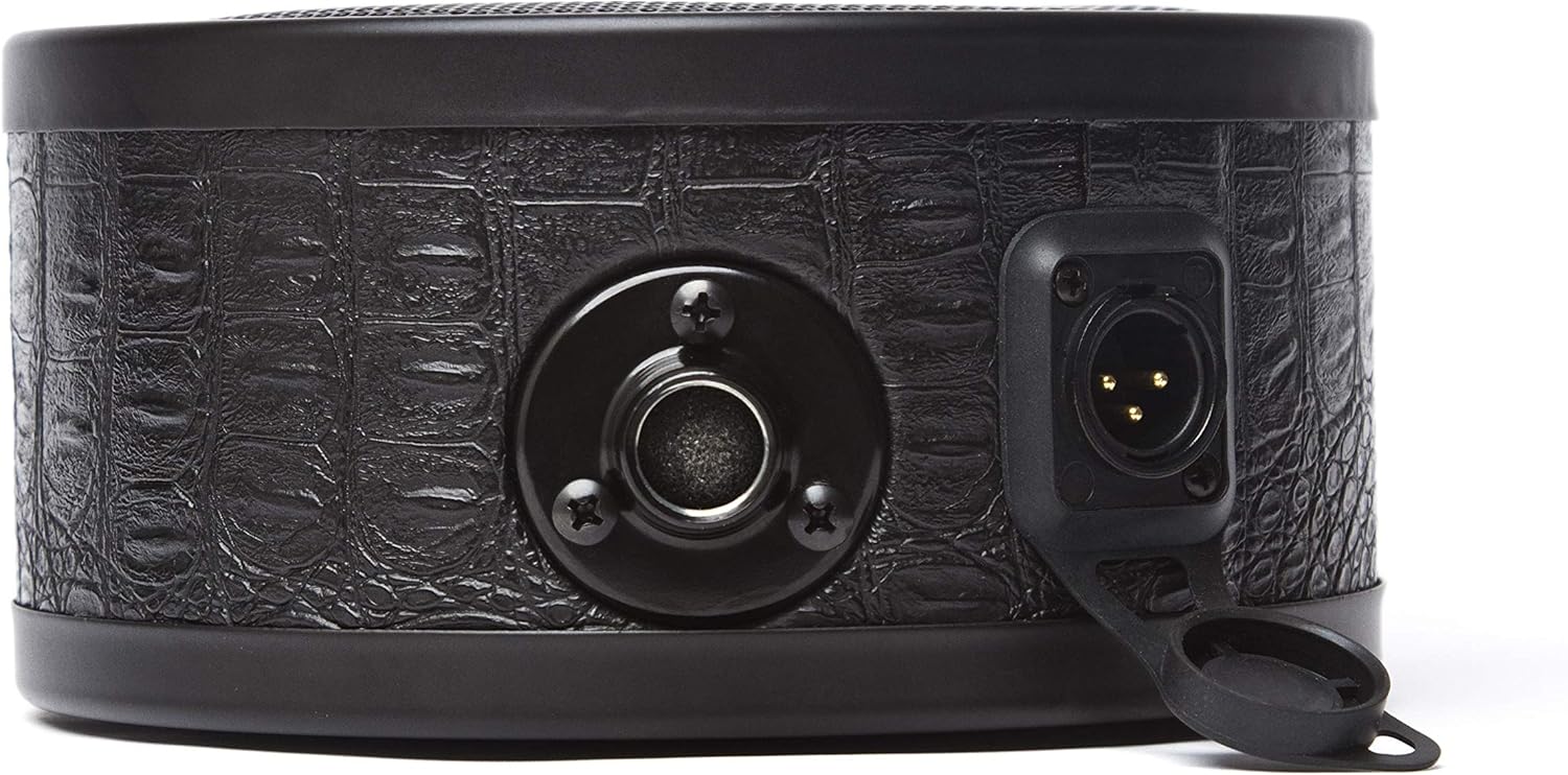 Solomon LoFReQ Sub-Style Dynamic Microphone - Daru Jones Signature Neo Blaq