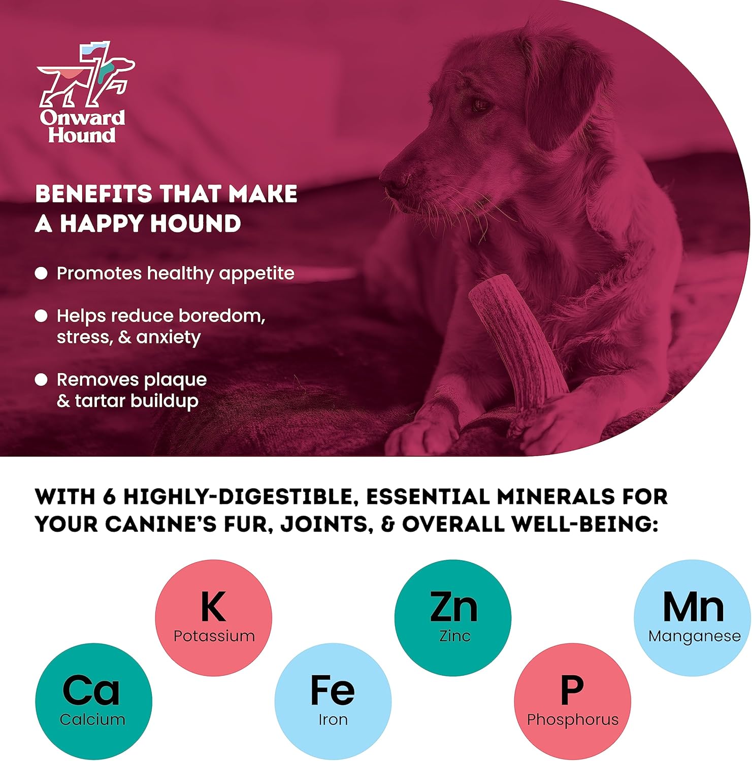 Onward Hound Elk Antlers for Dogs, 7