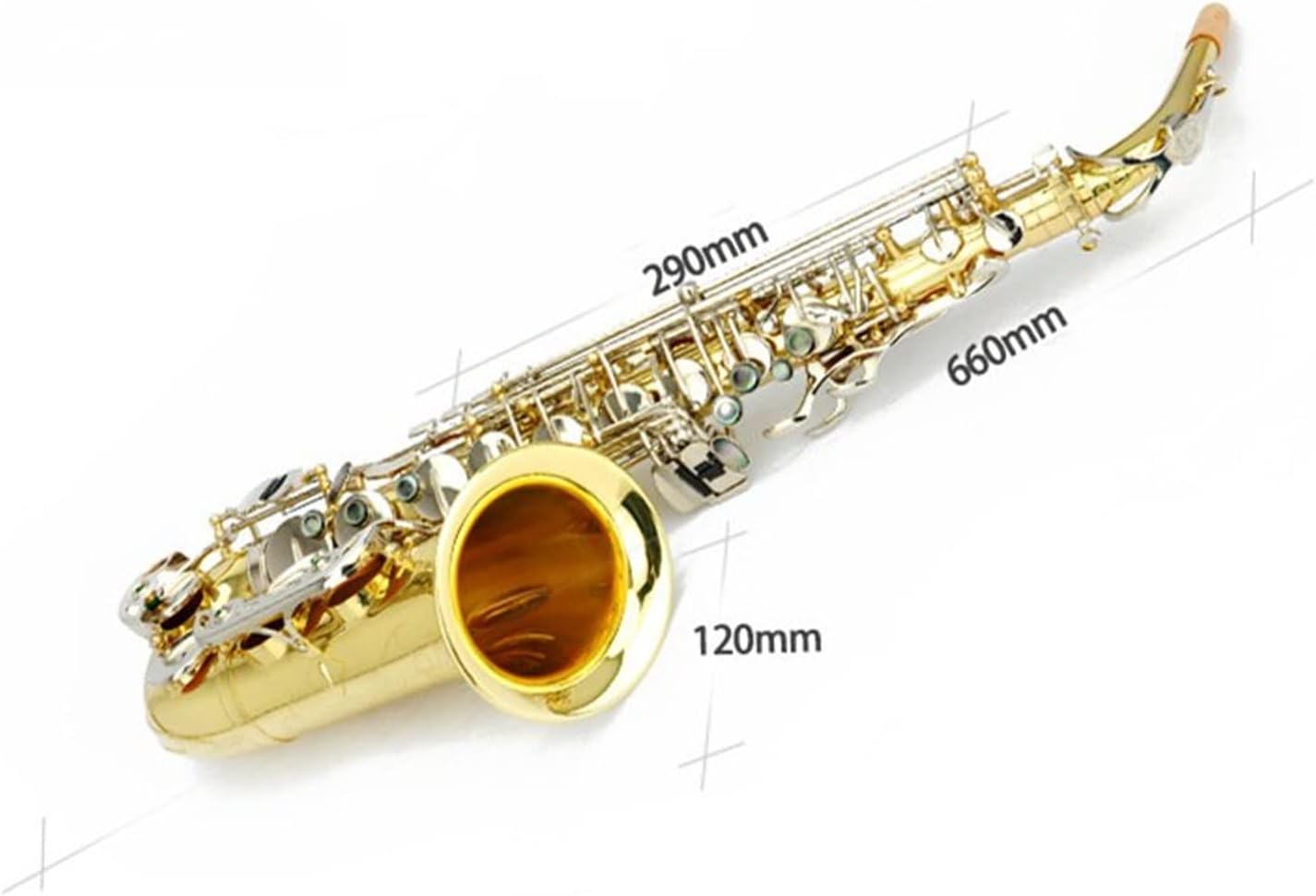KESHUO E Flat Alto Saxophone Instrument, Nickel-Plated Silver Keys, Saxophone Instrument Wind/Pipe Brass Sax Beginners Kit