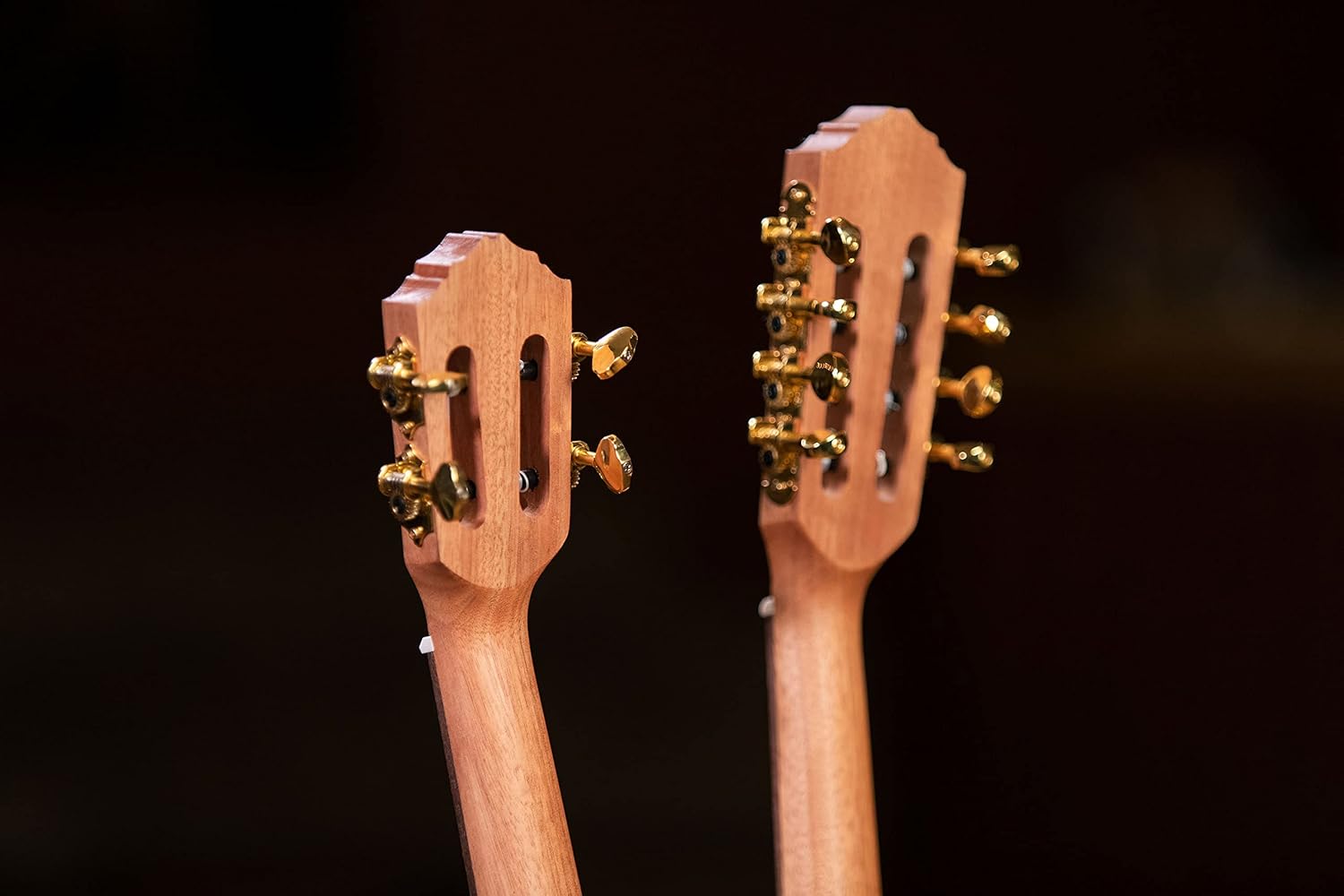 Custom Built Series Double Neck 4 & 8 String Tenor Acoustic-Electric Ukulele w/Bag