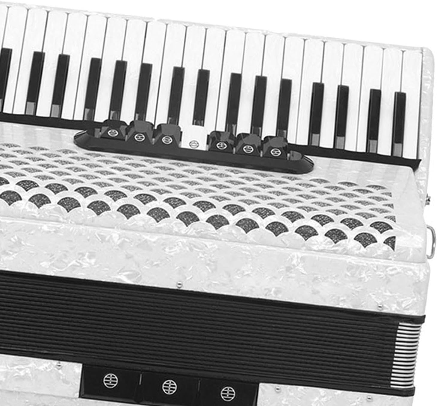 96 Bass 37 Key Entry Level Piano Accordion Hand Piano Accordion Educational Portable Musical Instrument for Music Lover