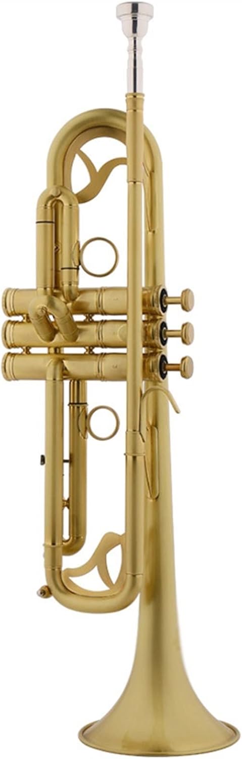 TSTS Brass Instrument Standard Trumpet B-Flat Matte Lacquer Gold Professional Playing Trumpet with Case Professional Trumpet