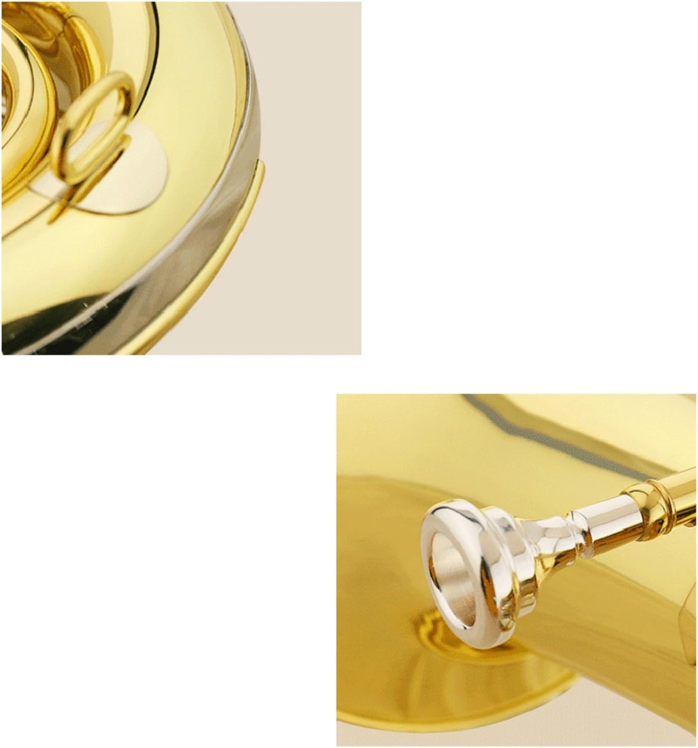 B flat Euphonium Professional Adult Performance