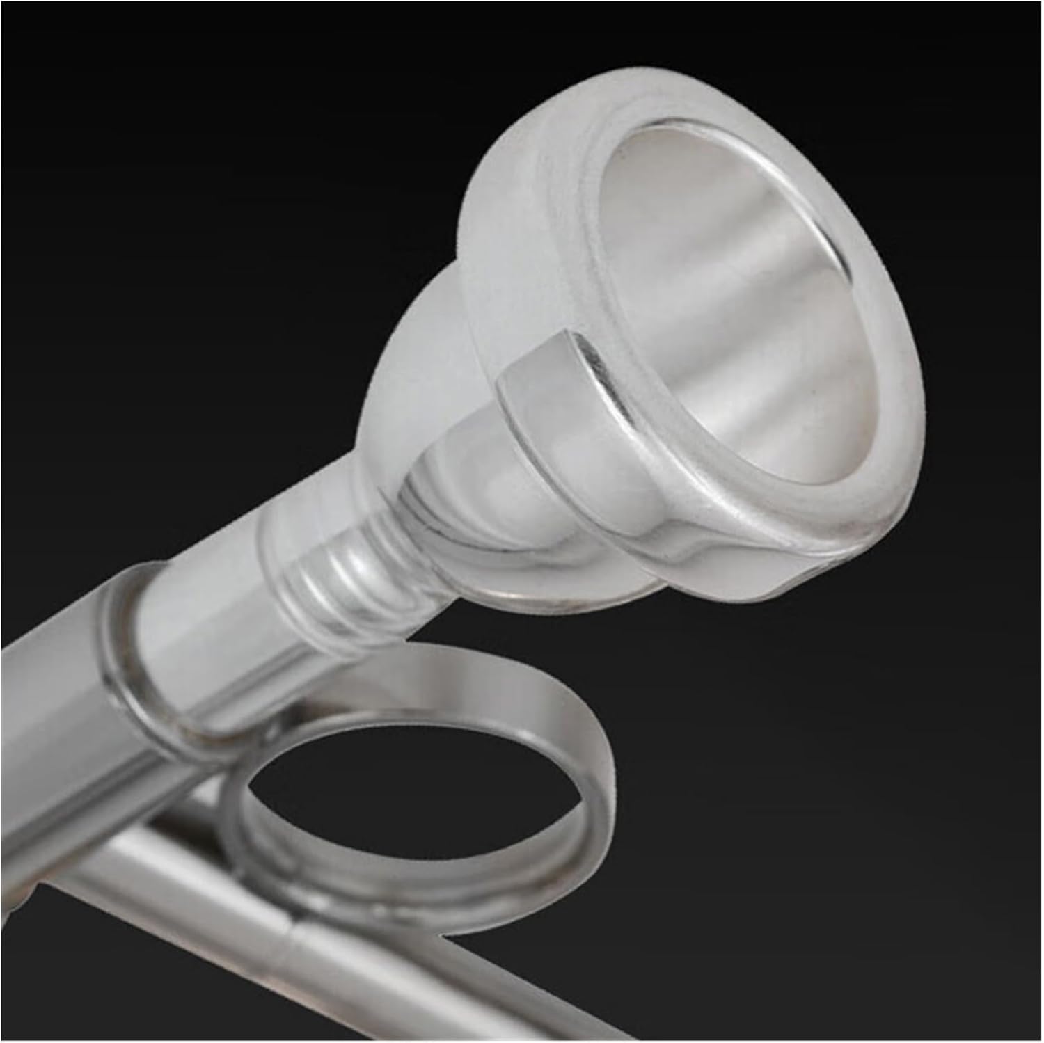 Bass Trombone Instruments Suitable for Professional Performance