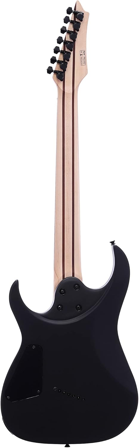 IYV- ISFF7-400 Solid Body with Burl Maple Top Electric Guitar, Charcoal Sunburst