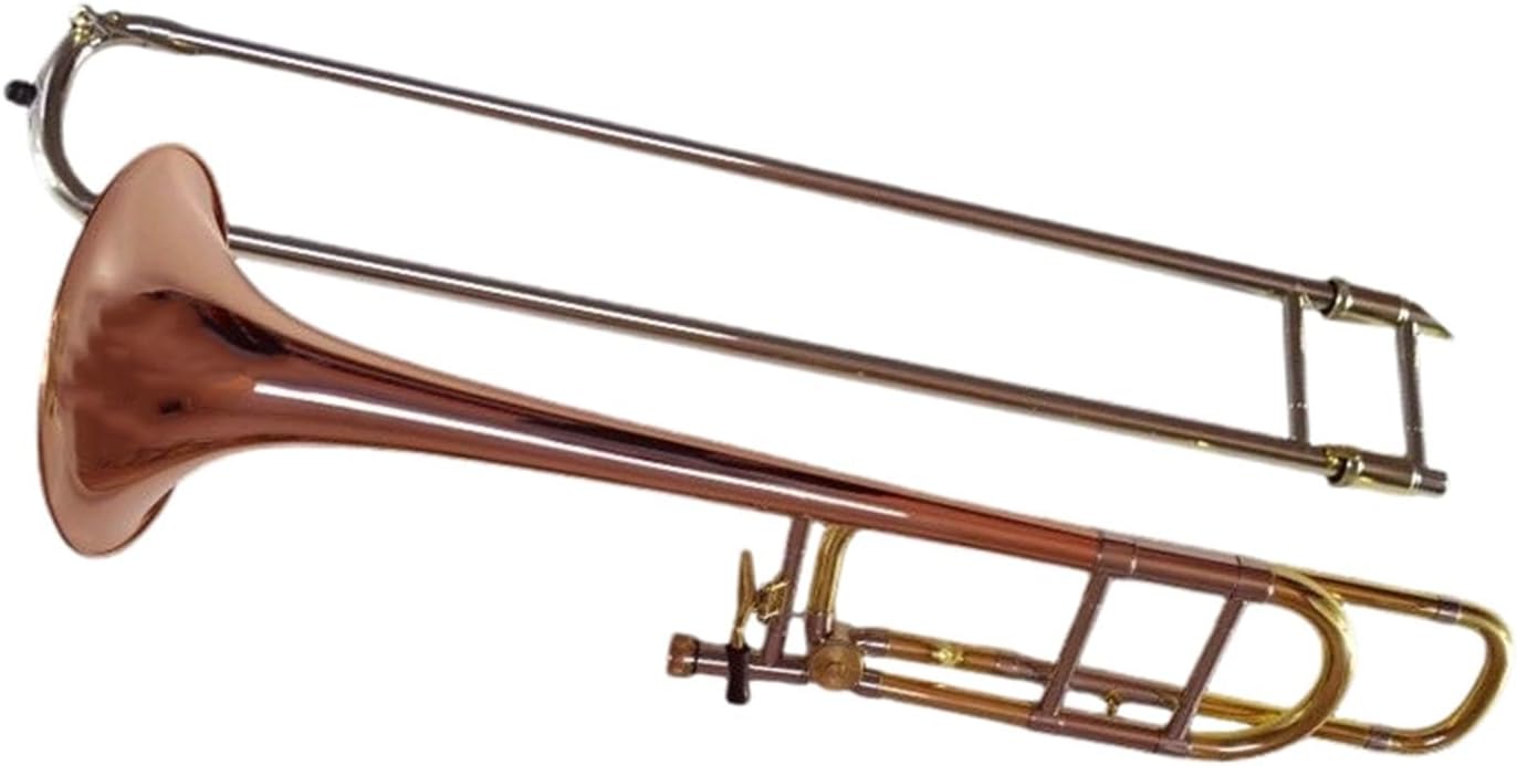 Adult Trombone Instrument Trombone Instrument Brass Phosphor Bronze Tenor Transposition B Flat F Key Beginner Playing(Brass)