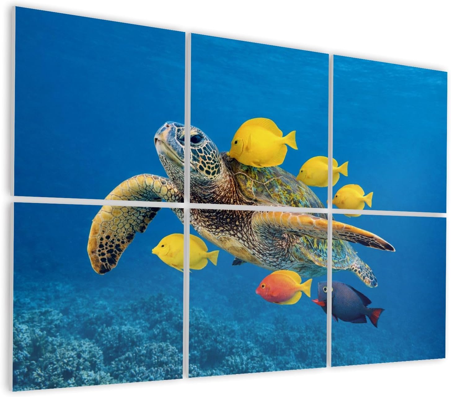 6 Pack Art Acoustic Panels Self Adhesive Sea Turtle Swimming Yellow Colorful Tropical Fish Decorative Soundproof Wall Panels Sound Absorbing Panel 48