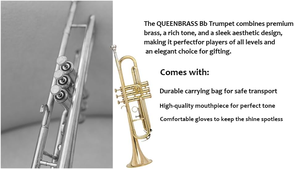 Queen Brass Trumpet Premium Kit for Beginners & Students, Brass Musical Instrument with Sturdy Case Bag, 7C Mouthpiece, Complete Cleaning Set