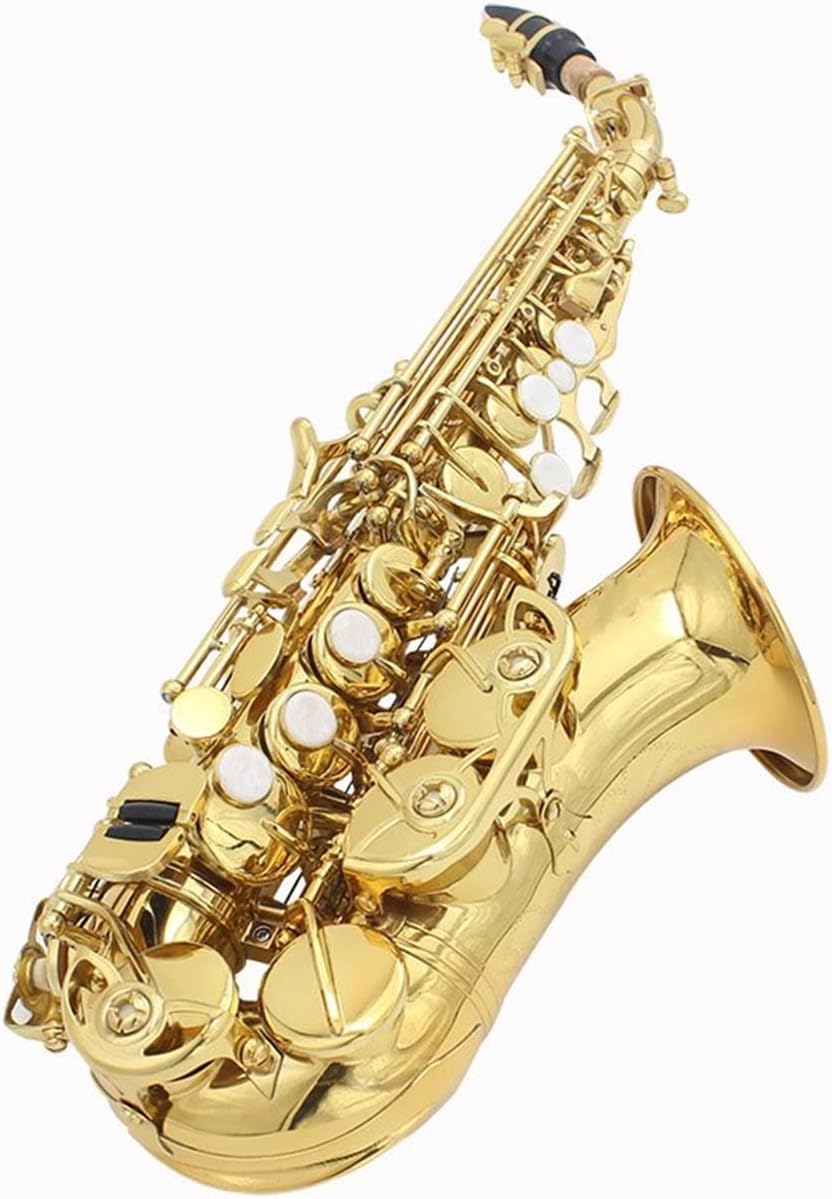 Saxophone Brass Bb Bend Althorn Shell Buttons Wind Instrument with Case Gloves Cleaning Clot Belt Brush Student Saxophone