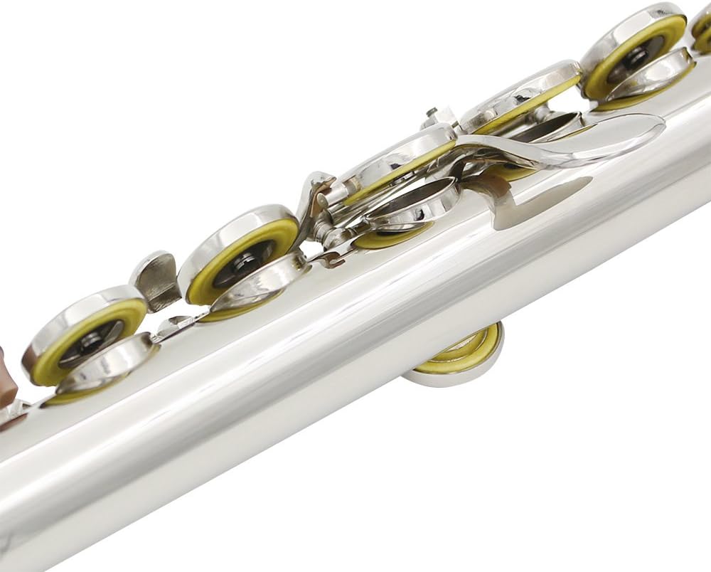 Flute Cupronickel Nicke Plated 16 Holes C Key Woodwind Instrument with Cleaning Cloth Stick Gloves Mini Screwdriver Padded Case