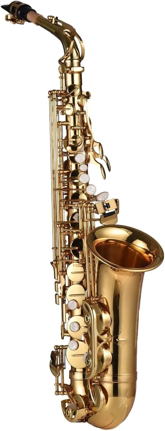 VBDEFRT Woodwind Instruments Eb Alto Saxophone Brass Lacquered Alto Sax Wind Instrument With Carry Case Gloves Accessories