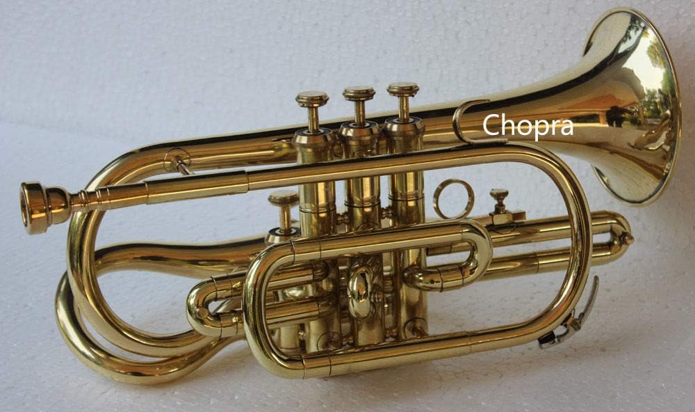 SALE SALE SALE GIFT Brass 4 Valve Brass Echo Cornet Brass Finish W/Case Gold