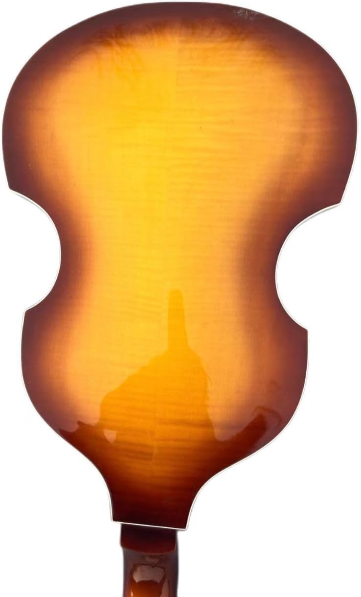 4 String Electric Bass Guitar Full Size Electric Bass Maple Back, Spruce Surface, Maple Neck, Rosewood Fingerboard, With Accessories, Tool and Gig Bag