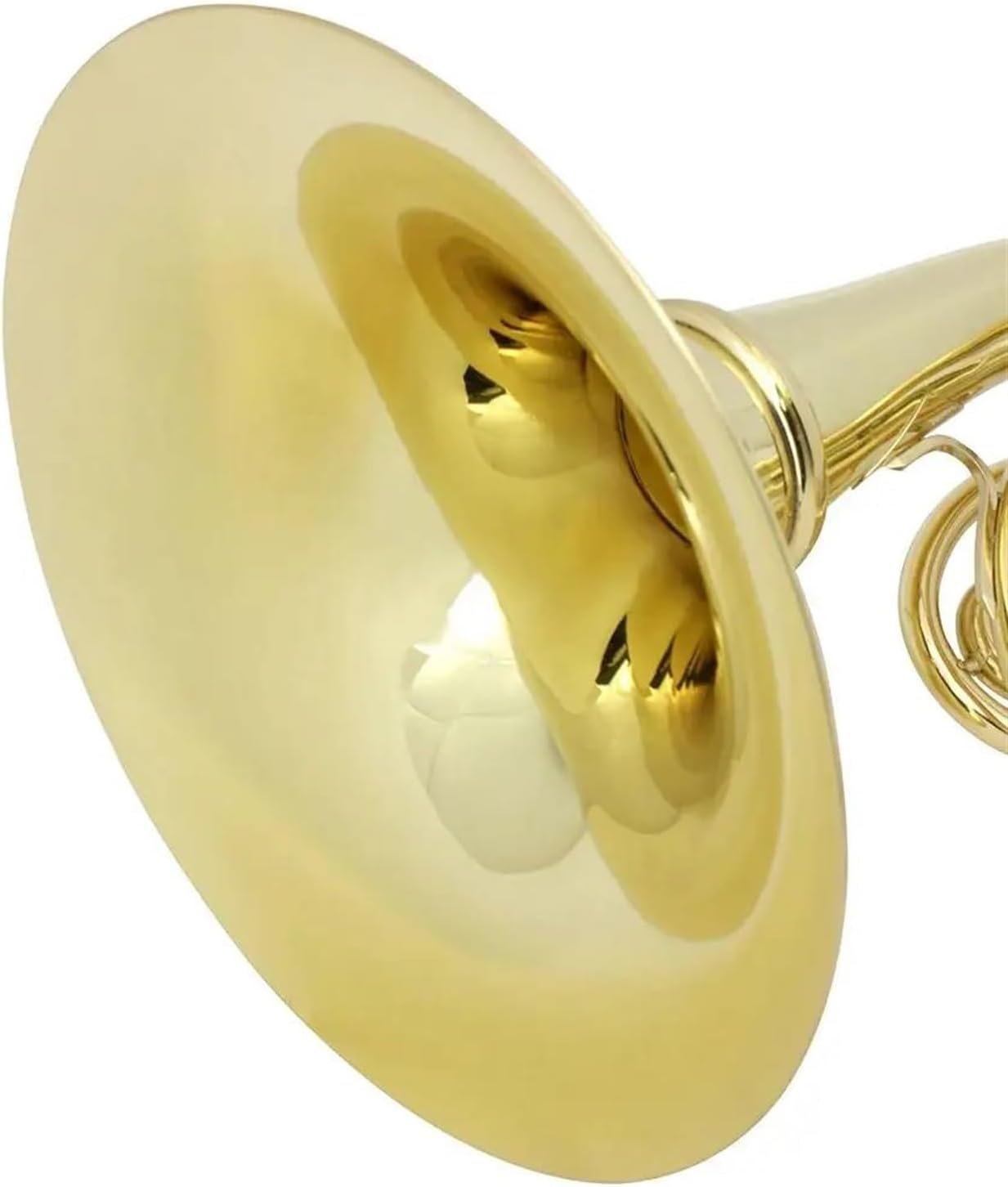 Brass French Horn French Horn In Musical Instrument Brass Material Surface Gold Plated