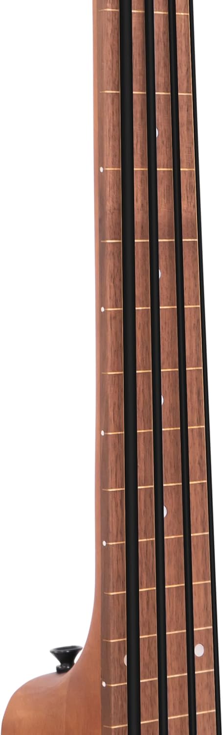 Gold Tone M-BassFL 23-Inch Scale Fretless Acoustic-Electric MicroBass with Gig Bag