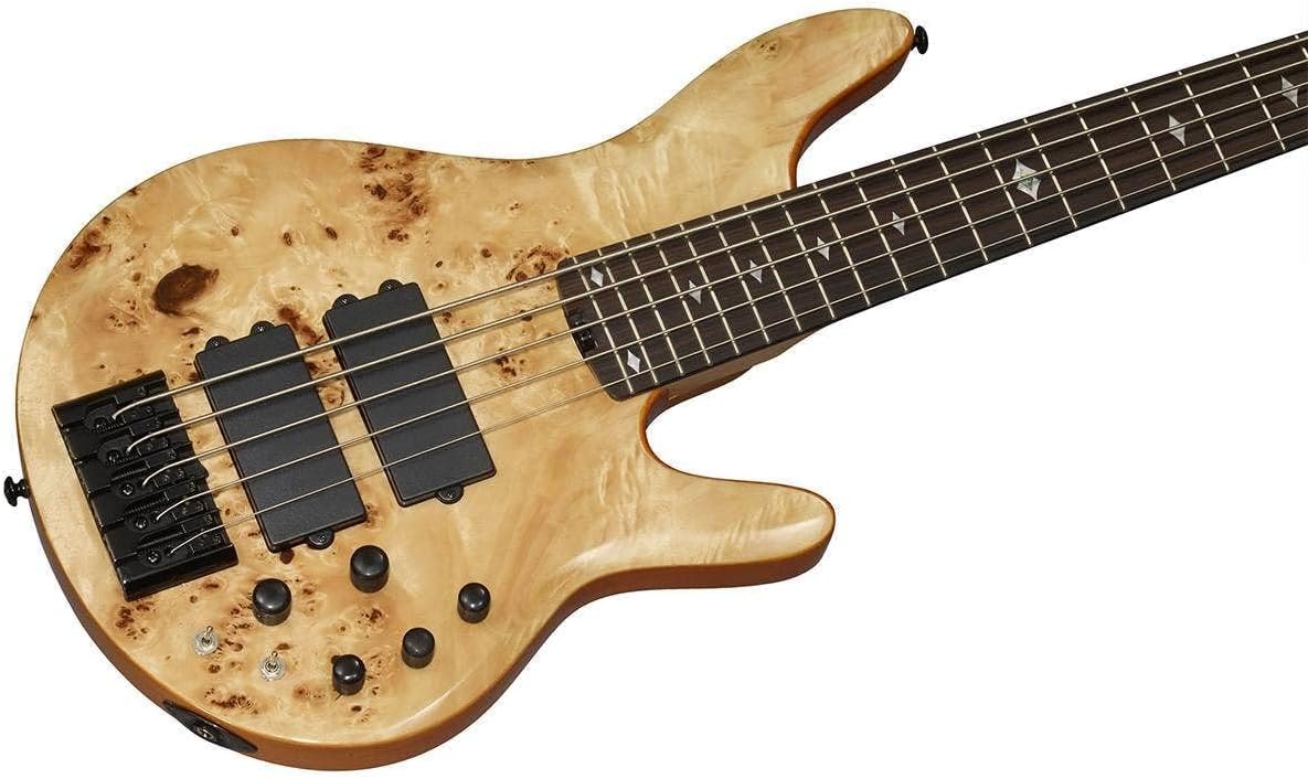 Michael Kelly Pinnacle 5 5-String Bass Guitar