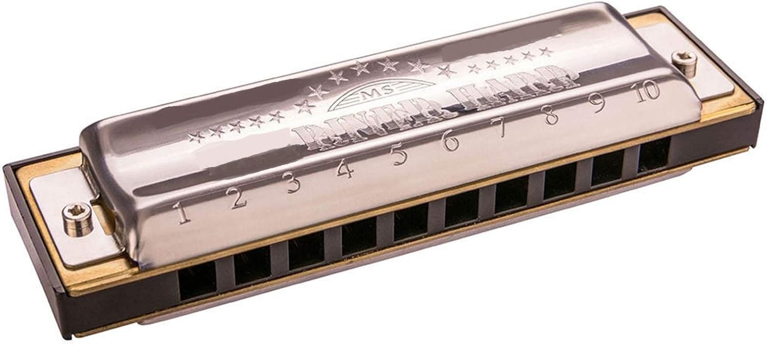 Harmonica Diatonic 10 Holes Harmonica Mouth Organ Instrumentos Diatonic Blues Harp Key of C ABS Comb Musical Instruments (Color : Silver Key EB)