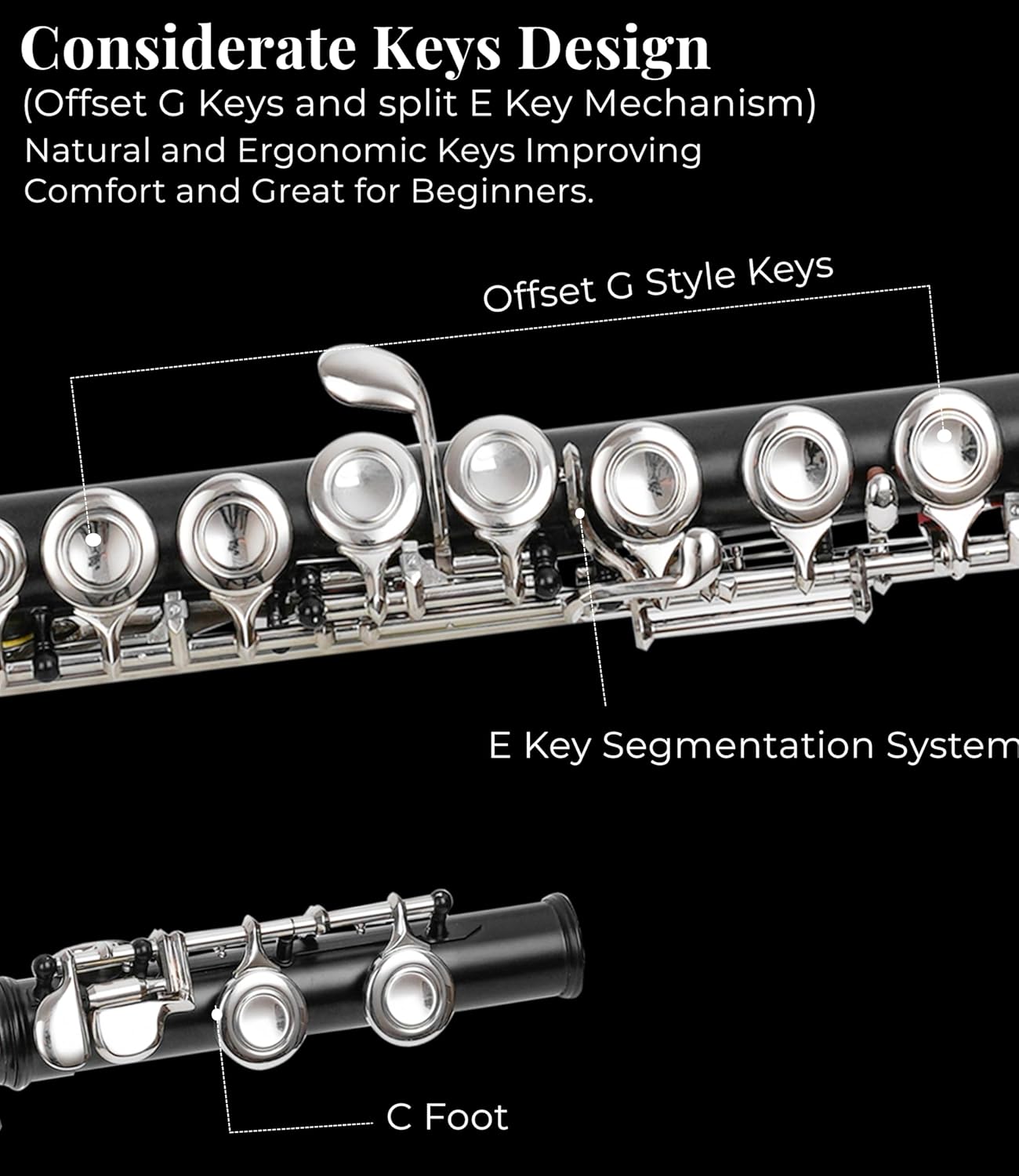 C Flute with Closed Hole 16 Keys, Suitable for Student and Beginner, Including Cleaning cloth, Carrying Case, Gloves and Tuning Rod. Nickel Plated Flute (Black)