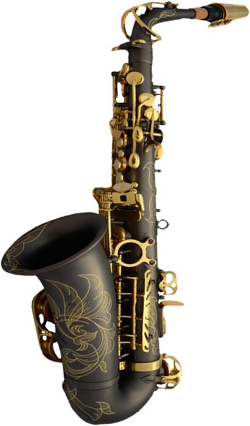 E-Flat Alto Saxophone Woodwind Instrument for Students Beginners with Case