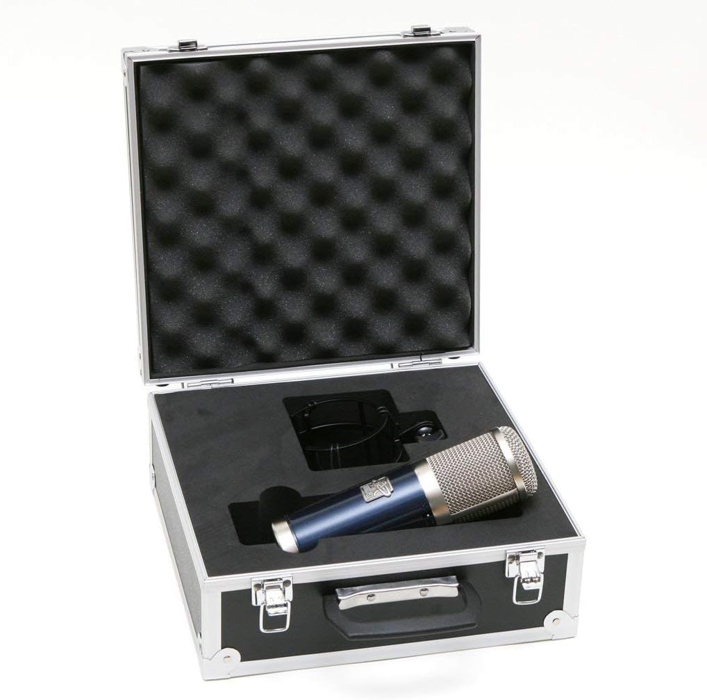 Roswell Pro Audio Delphos II