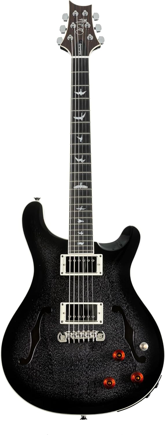 PRS SE Hollowbody Standard Piezo Electric Guitar, Dog Hair Smokeburst