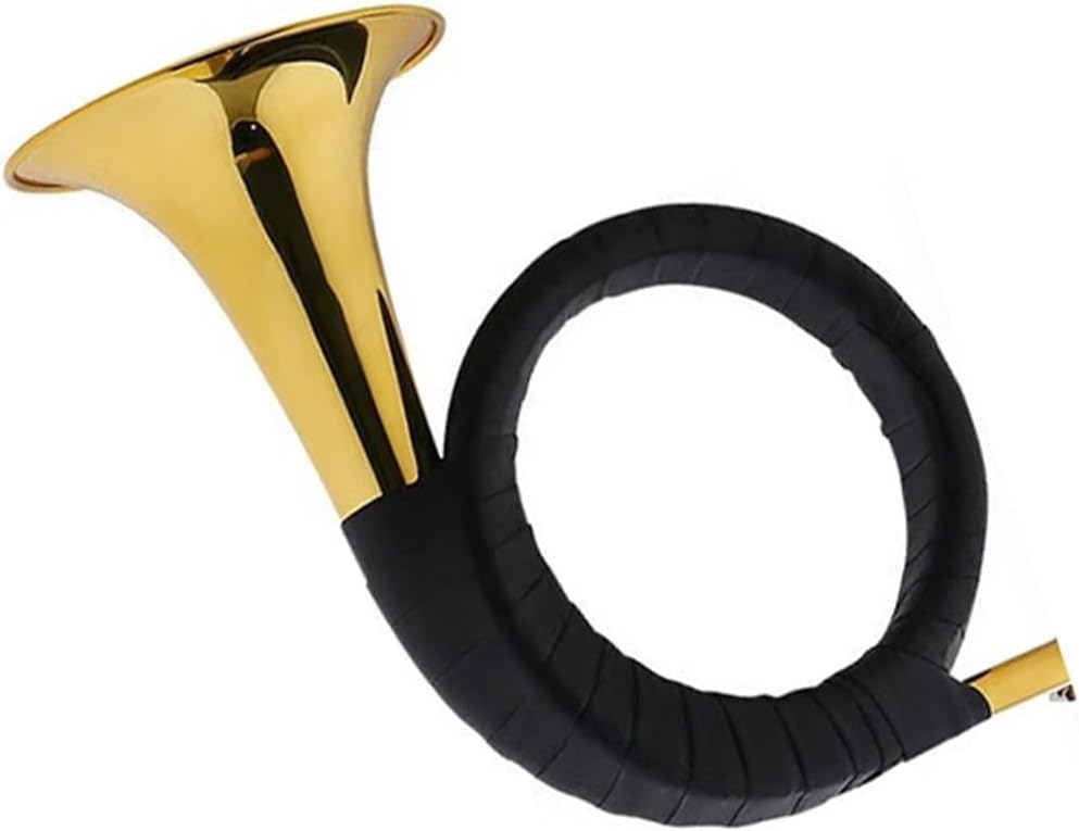 4 Key French Horn Playing Practice French Horn B Flat Brass Instrument For Beginners And Adults(1)